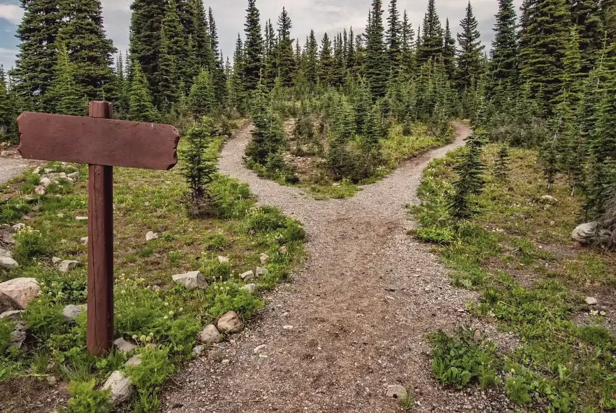 A wooden signpost where a gravel trail forks into two paths through pine trees