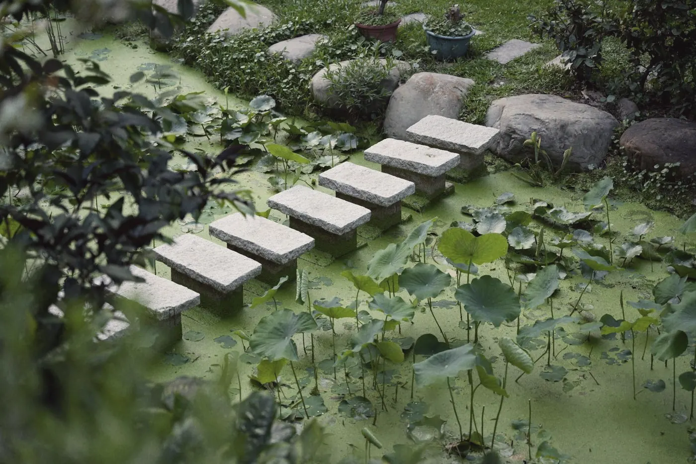 Stepping stones crossing a green pond, one step at a time like follow-up test checkpoints