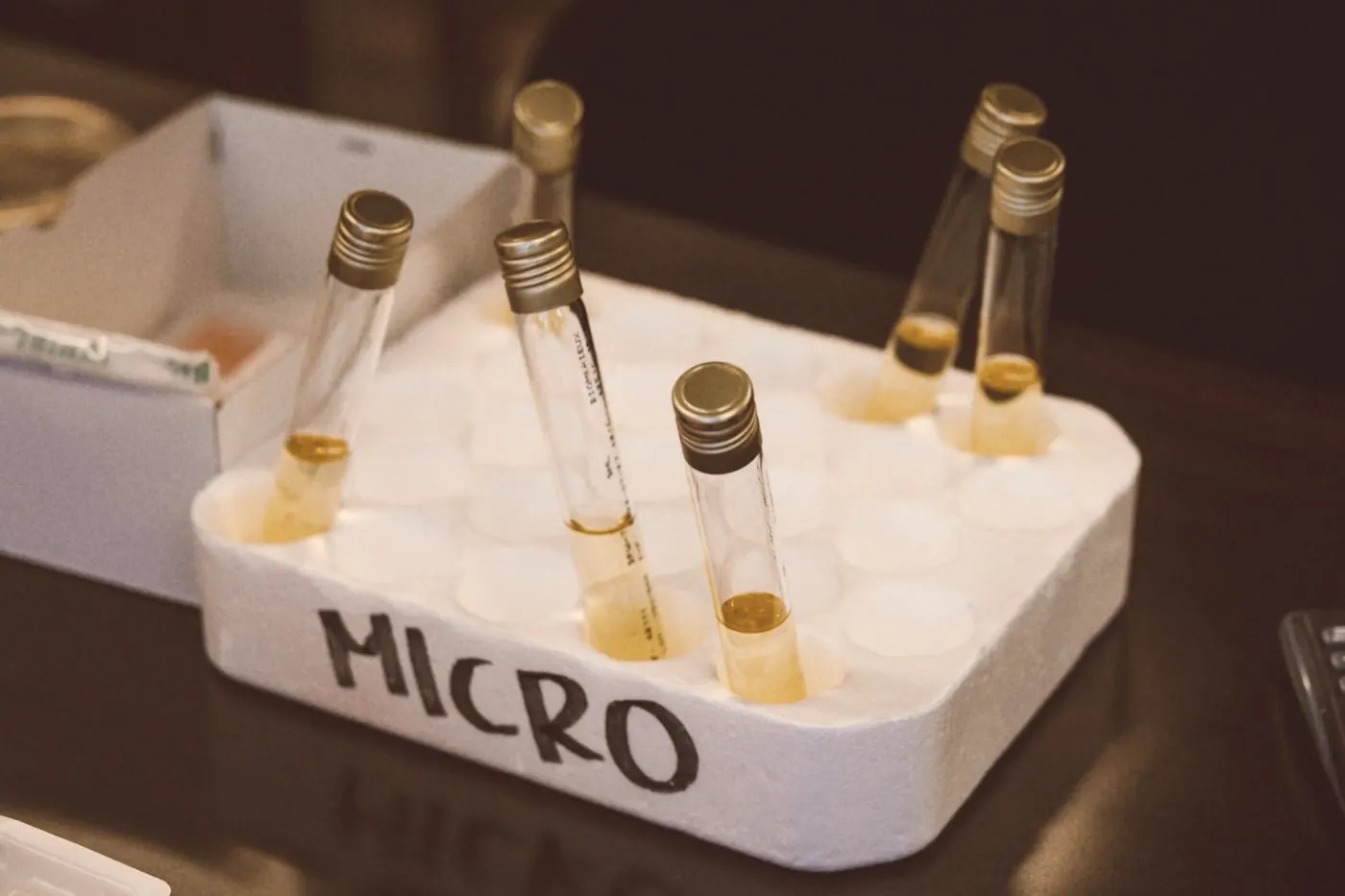 Capped sample tubes standing in a laboratory tray, ready for STI testing